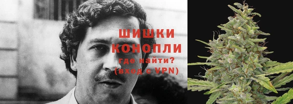 прущий лед Богданович