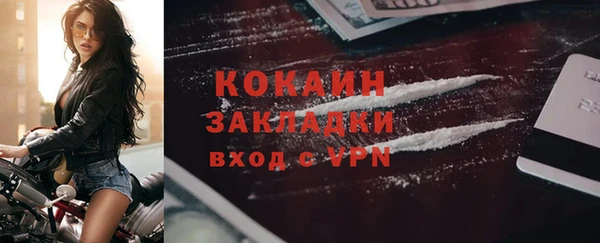 прущий лед Богданович