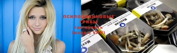 марки nbome Ельня