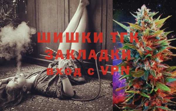 шишки Елизово