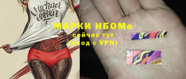 прущий лед Богданович